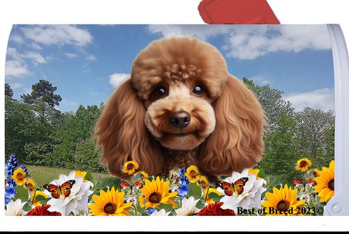Poodle summer flowers mail - poodle,